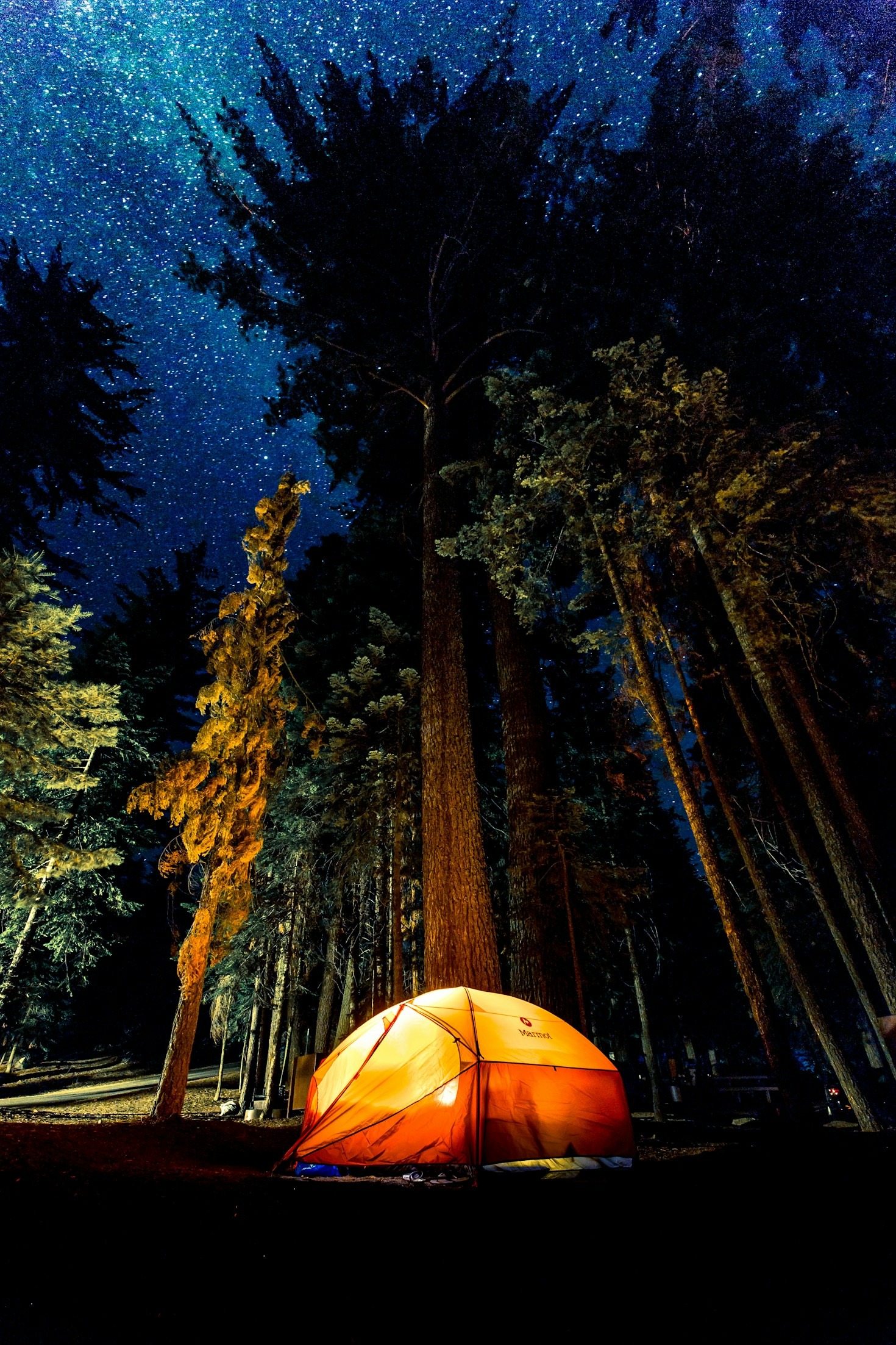 Die besten Campingplätze für Naturliebhaber